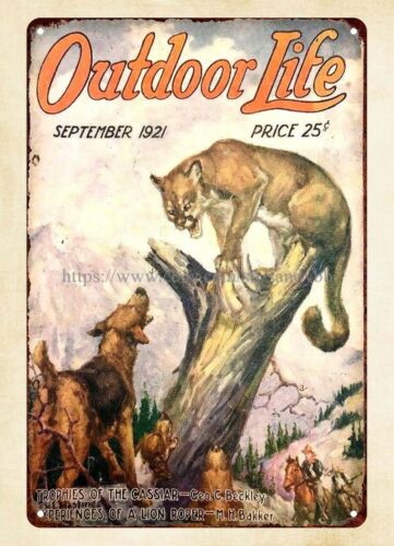 buy wall 1921 OUTDOOR LIFE mag - огляд і ціна Outdoor Hunting Dogs