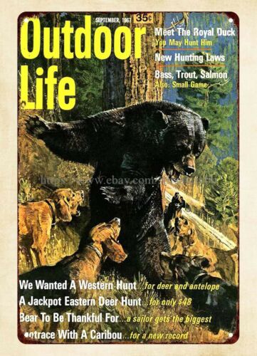 office wall decor 1967 Outdoor - огляд і ціна Outdoor Hunting Dogs